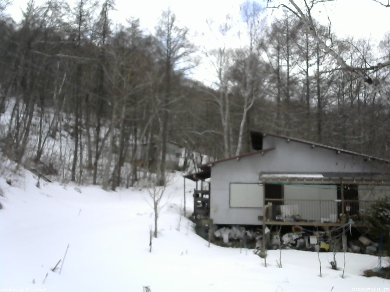 長野県菅平高原 ゆたか山荘 西側(坂上) 2026/03/07 13:45