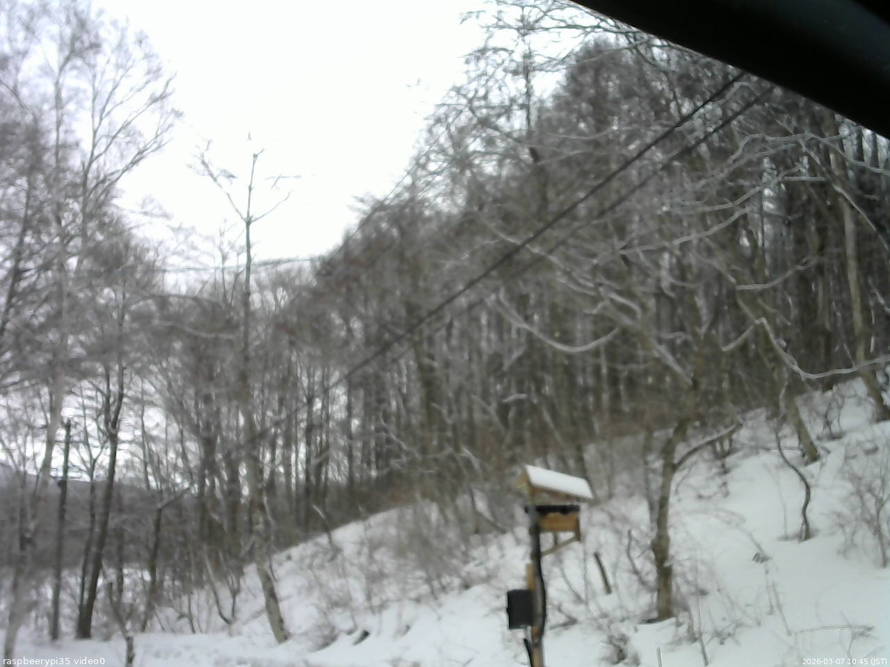 長野県菅平高原 ゆたか山荘 温度計 2026/03/07 10:45