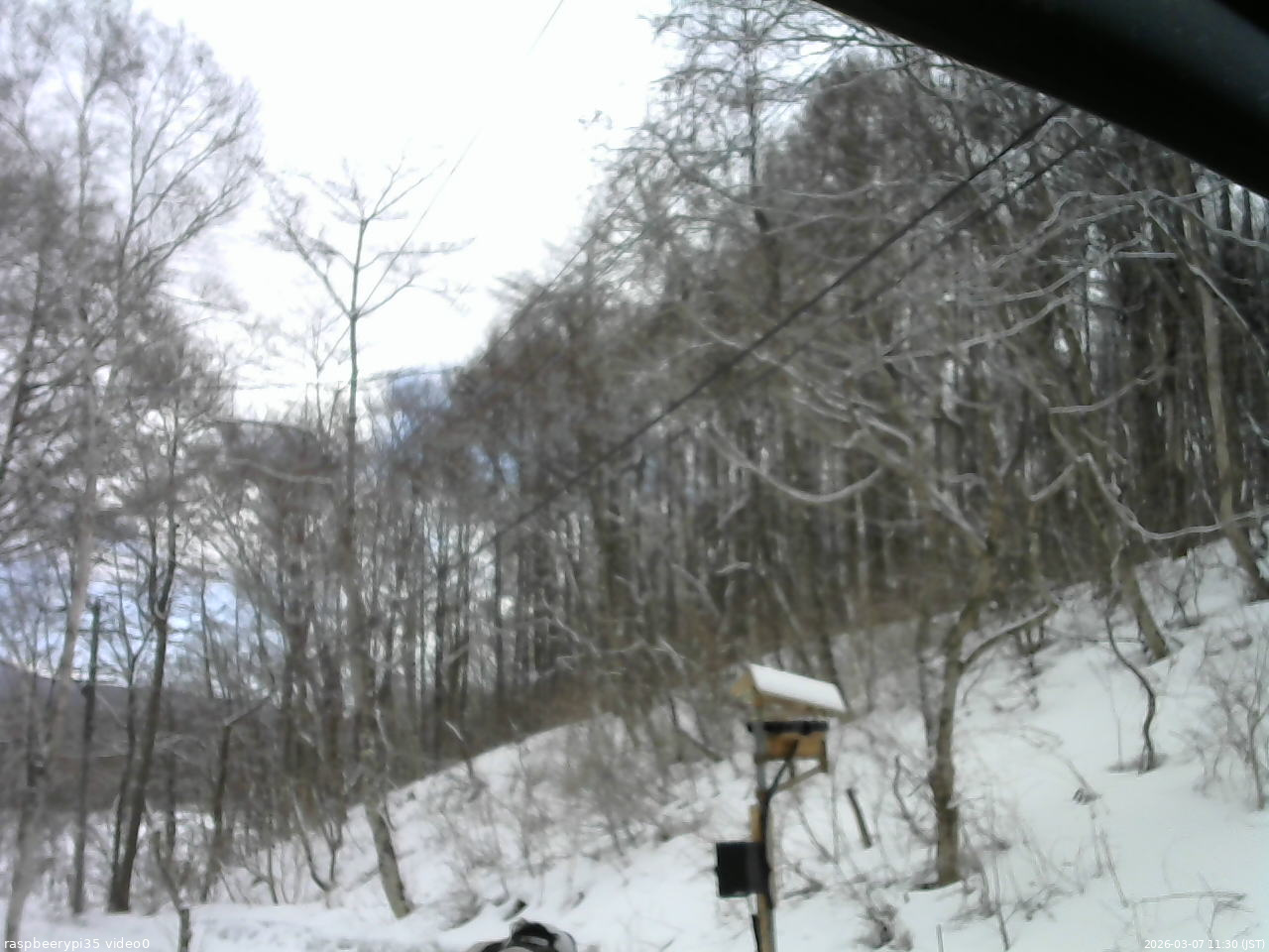 長野県菅平高原 ゆたか山荘 温度計 2026/03/07 11:30
