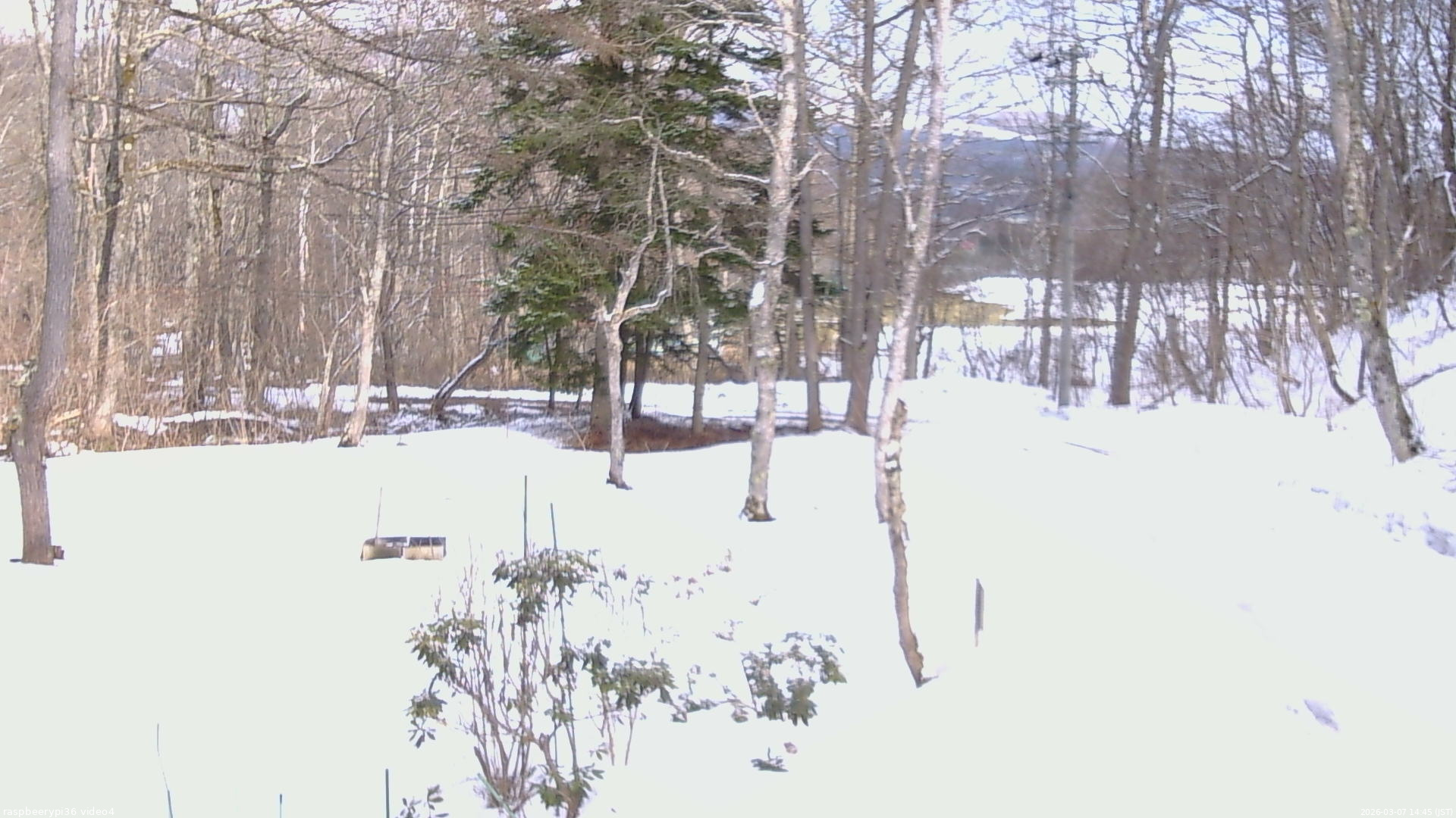 長野県菅平高原 ゆたか山荘 坂上 2026/03/07 14:45