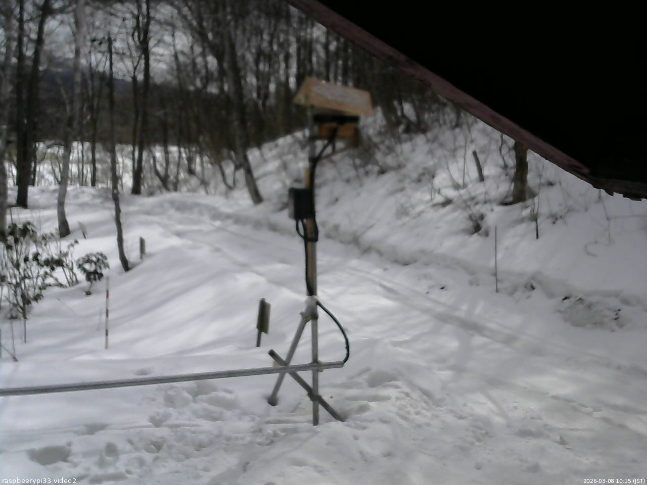 長野県菅平高原 ゆたか山荘 南側 2026/03/08 10:15