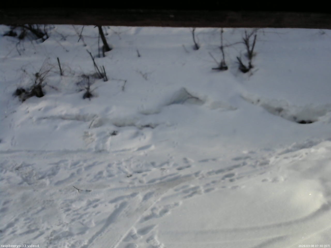 長野県菅平高原 ゆたか山荘 東側(坂下) 2026/03/08 07:30