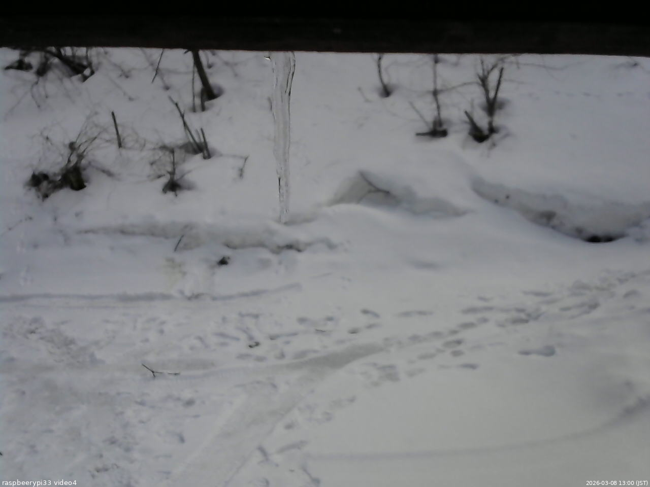 長野県菅平高原 ゆたか山荘 東側(坂下) 2026/03/08 13:00