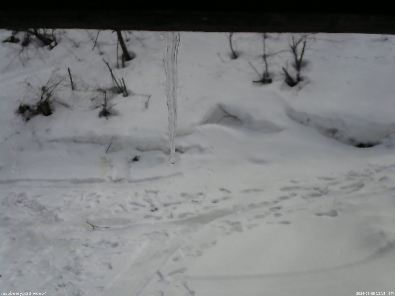 長野県菅平高原 ゆたか山荘 東側(坂下) 2026/03/08 13:15