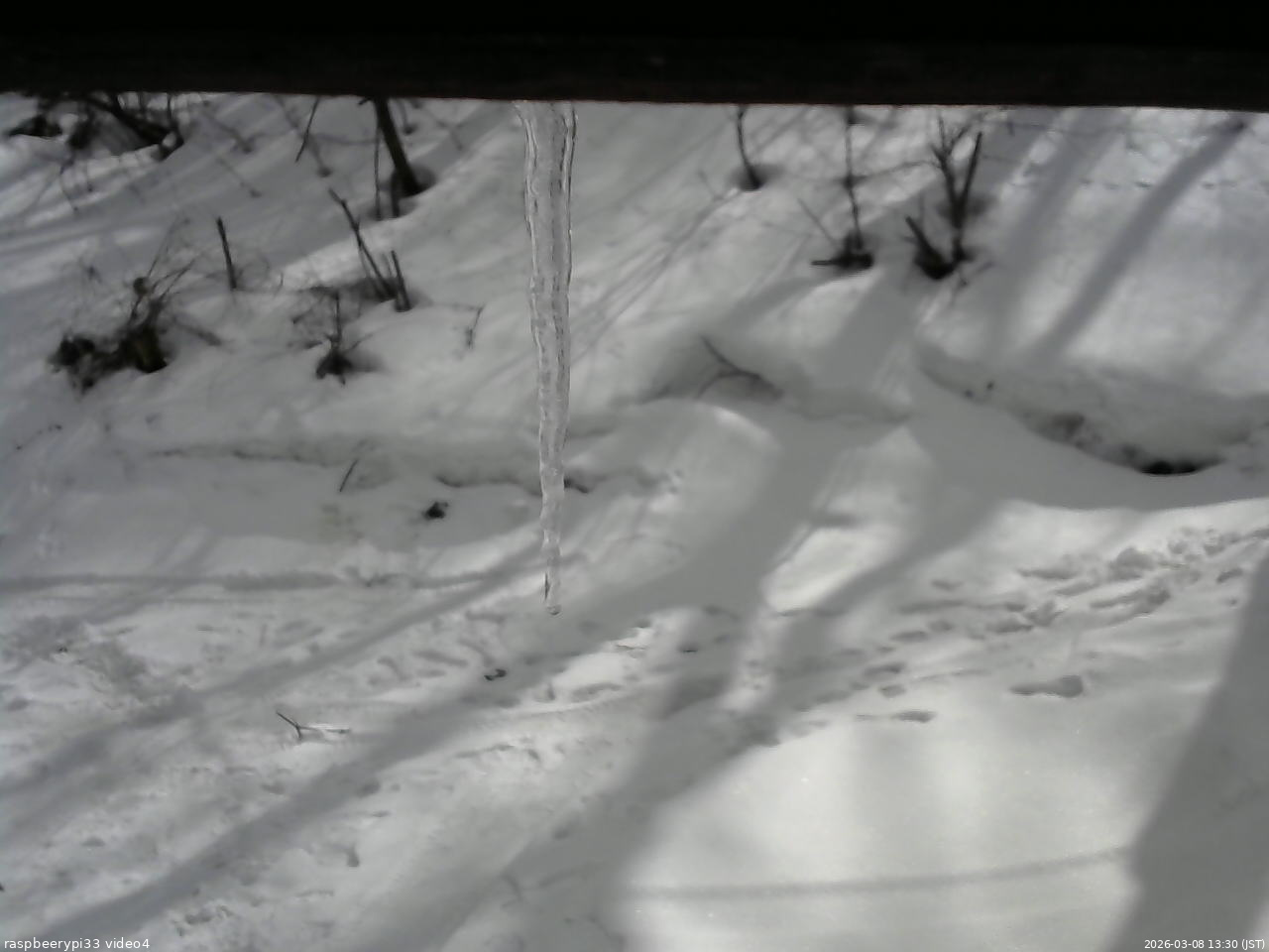 長野県菅平高原 ゆたか山荘 東側(坂下) 2026/03/08 13:30