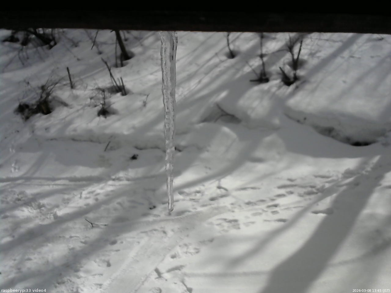 長野県菅平高原 ゆたか山荘 東側(坂下) 2026/03/08 13:45