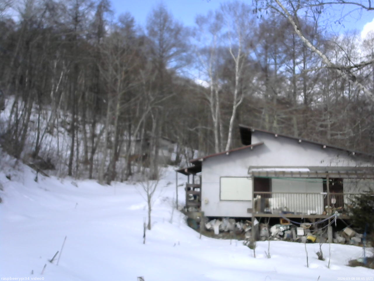 長野県菅平高原 ゆたか山荘 西側(坂上) 2026/03/08 08:45