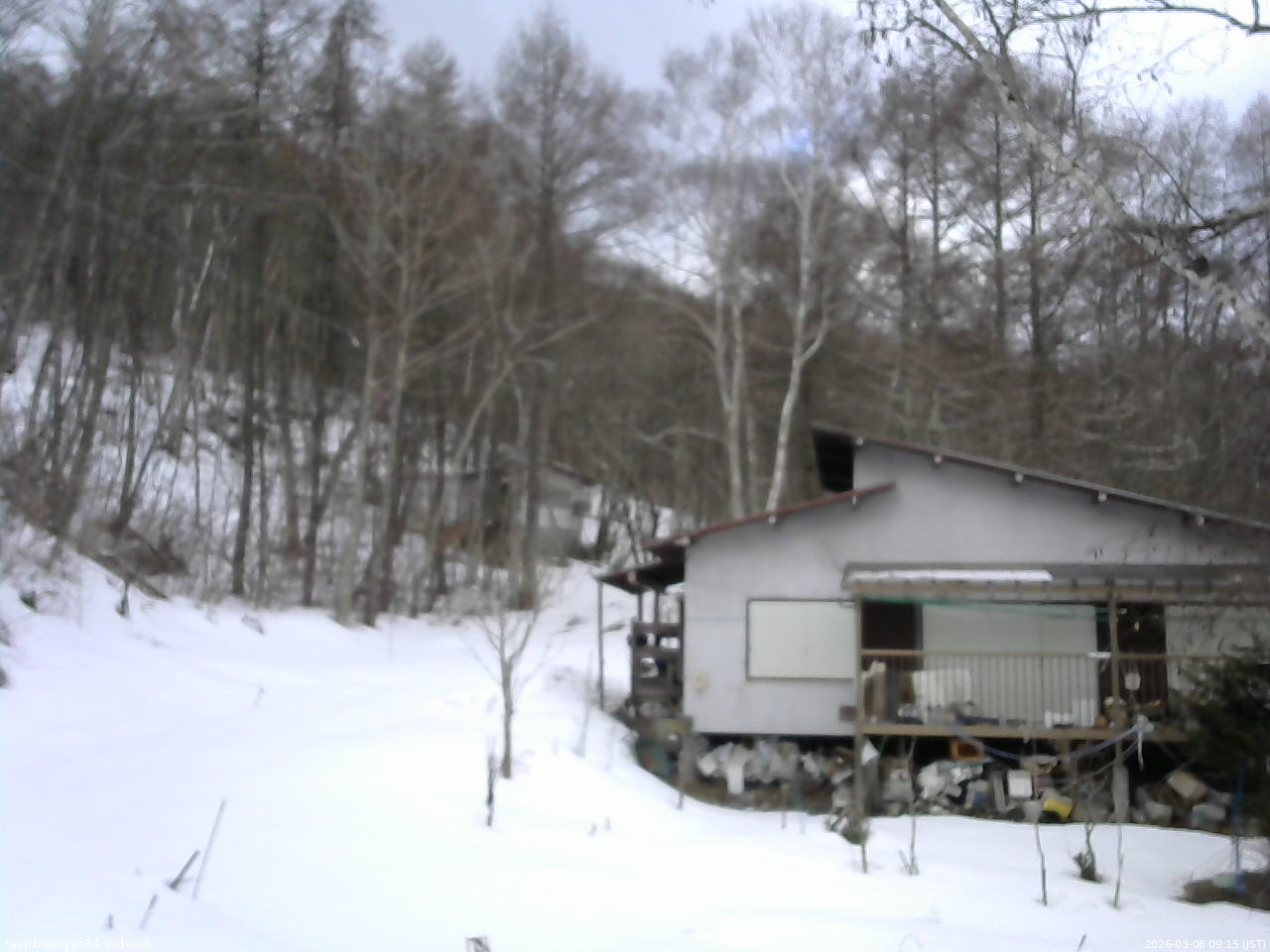 長野県菅平高原 ゆたか山荘 西側(坂上) 2026/03/08 09:15