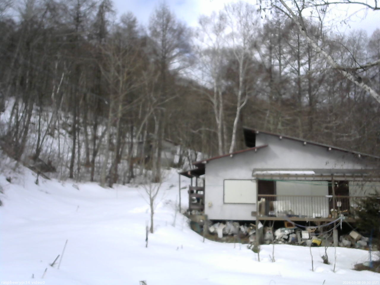 長野県菅平高原 ゆたか山荘 西側(坂上) 2026/03/08 09:30