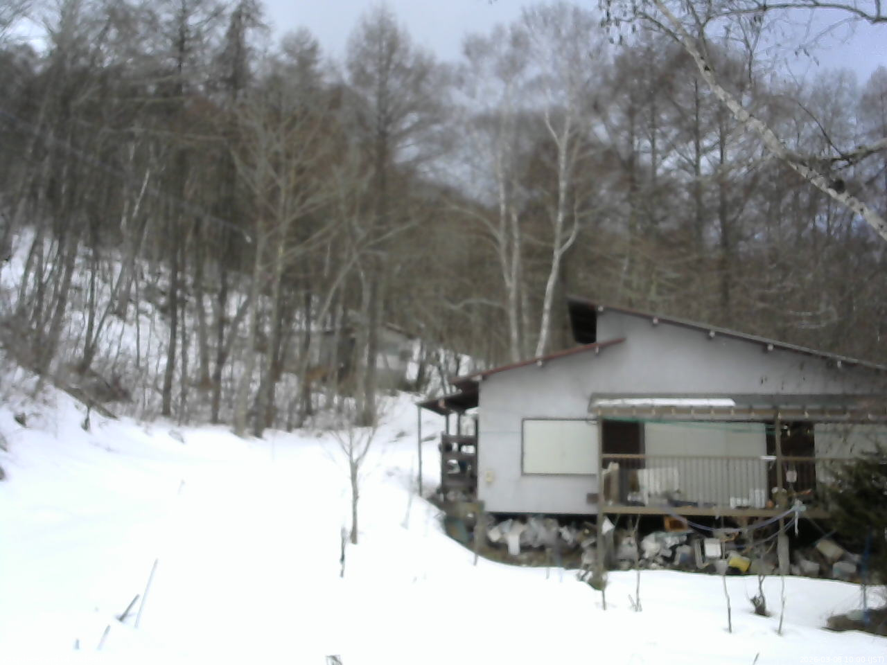 長野県菅平高原 ゆたか山荘 西側(坂上) 2026/03/08 10:00