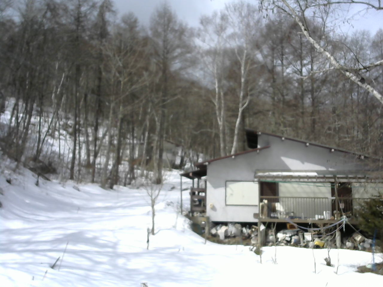 長野県菅平高原 ゆたか山荘 西側(坂上) 2026/03/08 10:30