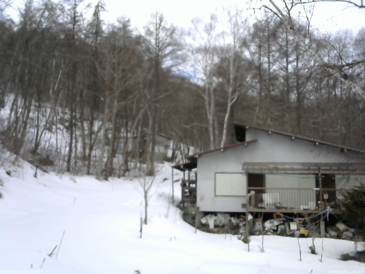 長野県菅平高原 ゆたか山荘 西側(坂上) 2026/03/08 11:30