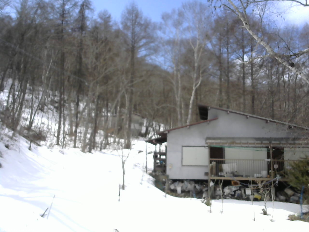 長野県菅平高原 ゆたか山荘 西側(坂上) 2026/03/08 13:30