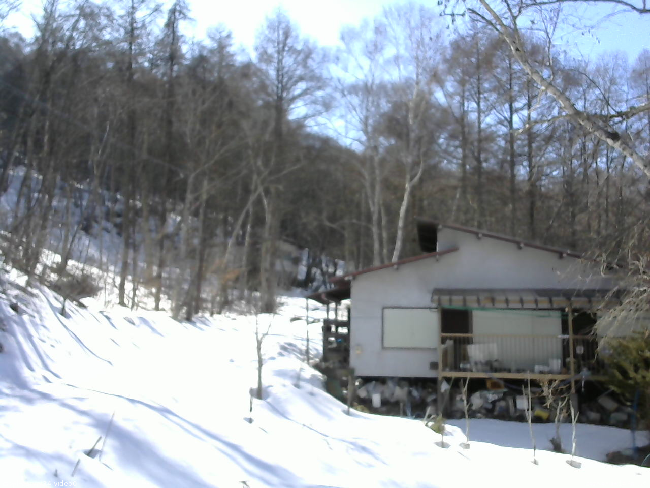 長野県菅平高原 ゆたか山荘 西側(坂上) 2026/03/08 14:30