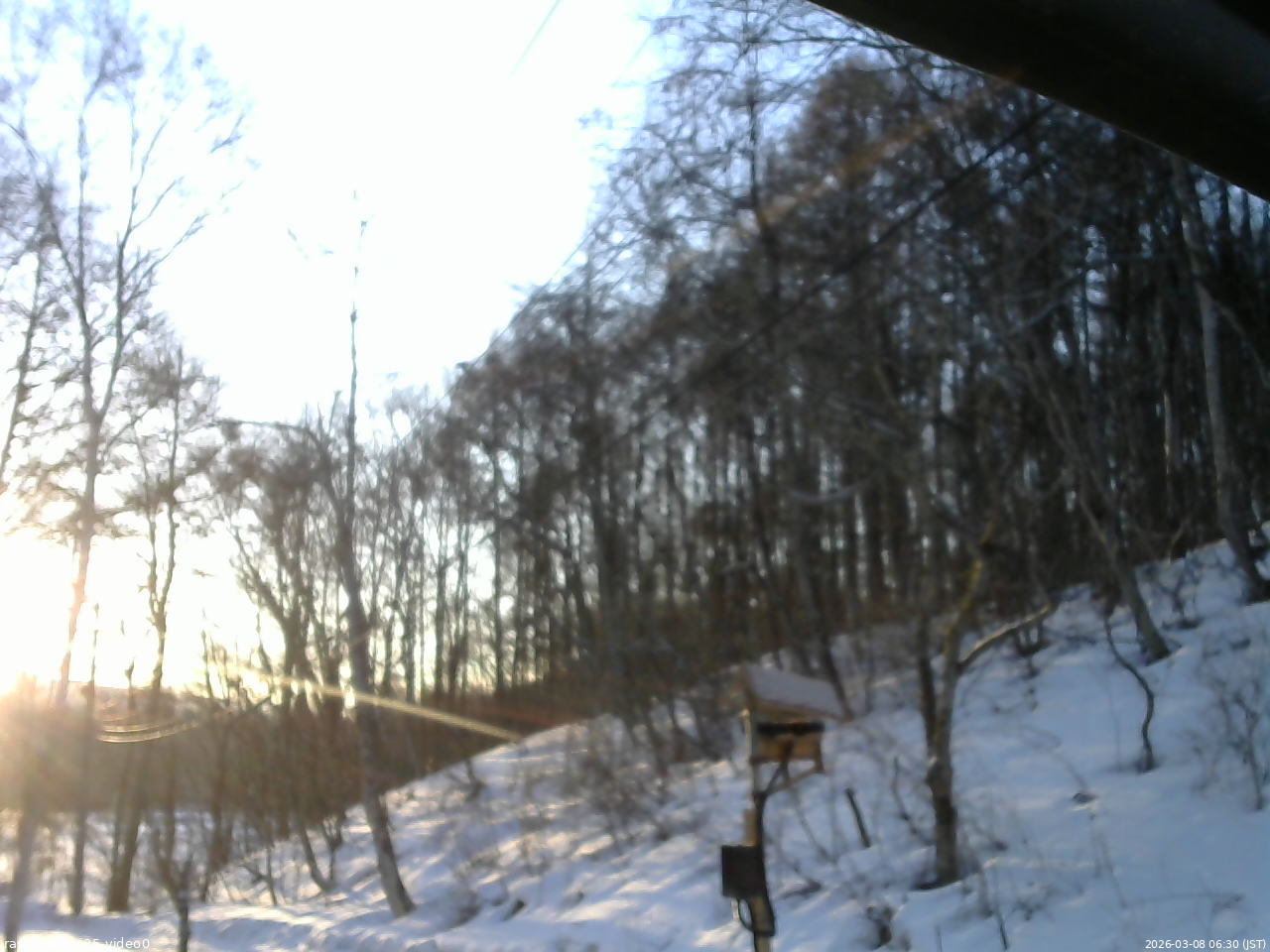 長野県菅平高原 ゆたか山荘 温度計 2026/03/08 06:30