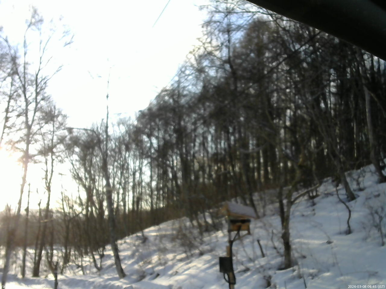 長野県菅平高原 ゆたか山荘 温度計 2026/03/08 06:45