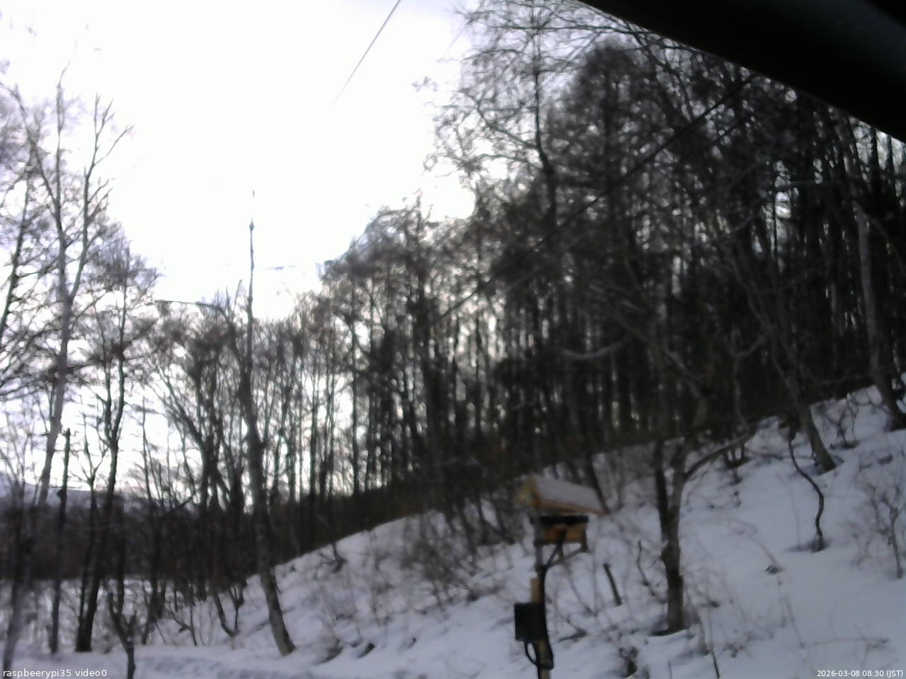 長野県菅平高原 ゆたか山荘 温度計 2026/03/08 08:30