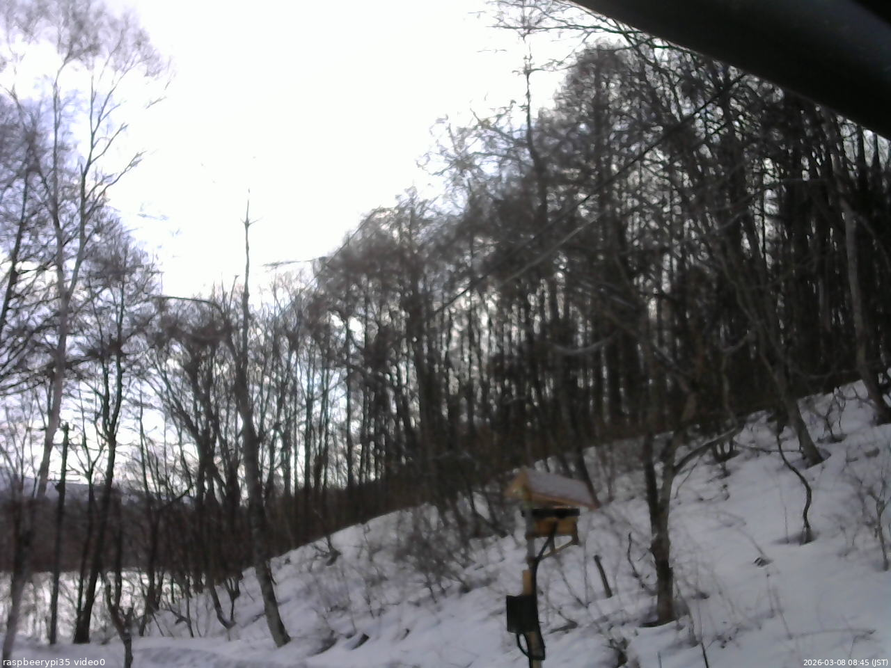 長野県菅平高原 ゆたか山荘 温度計 2026/03/08 08:45