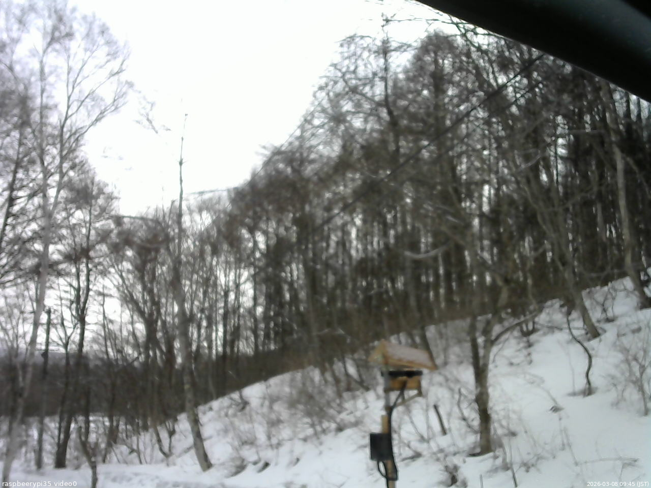 長野県菅平高原 ゆたか山荘 温度計 2026/03/08 09:45