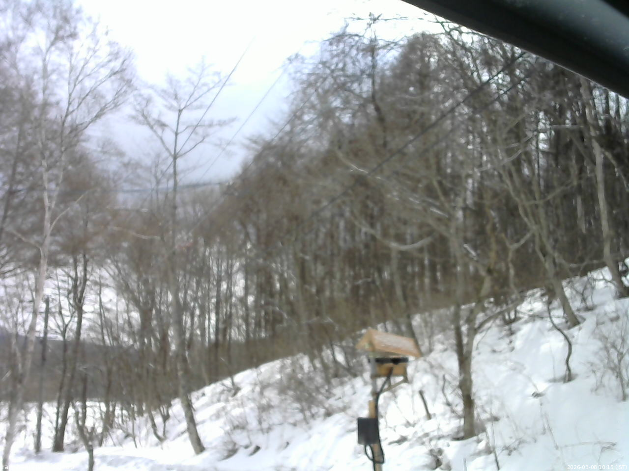 長野県菅平高原 ゆたか山荘 温度計 2026/03/08 10:15