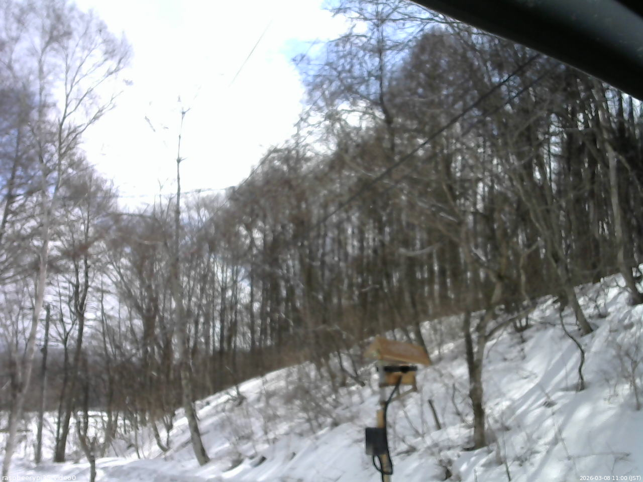 長野県菅平高原 ゆたか山荘 温度計 2026/03/08 11:00