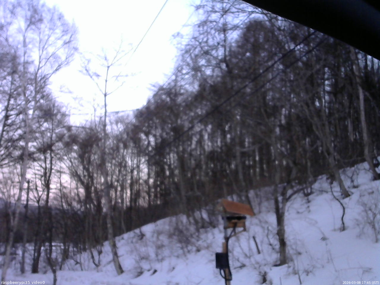 長野県菅平高原 ゆたか山荘 温度計 2026/03/08 17:45
