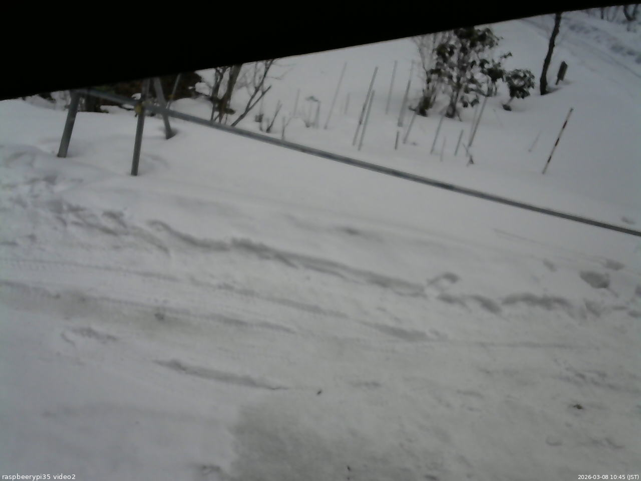 長野県菅平高原 ゆたか山荘 駐車場 2026/03/08 10:45