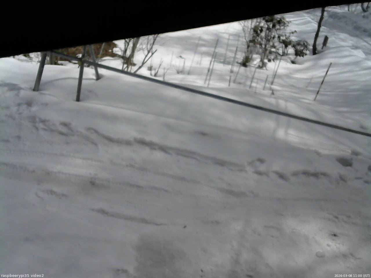 長野県菅平高原 ゆたか山荘 駐車場 2026/03/08 11:00
