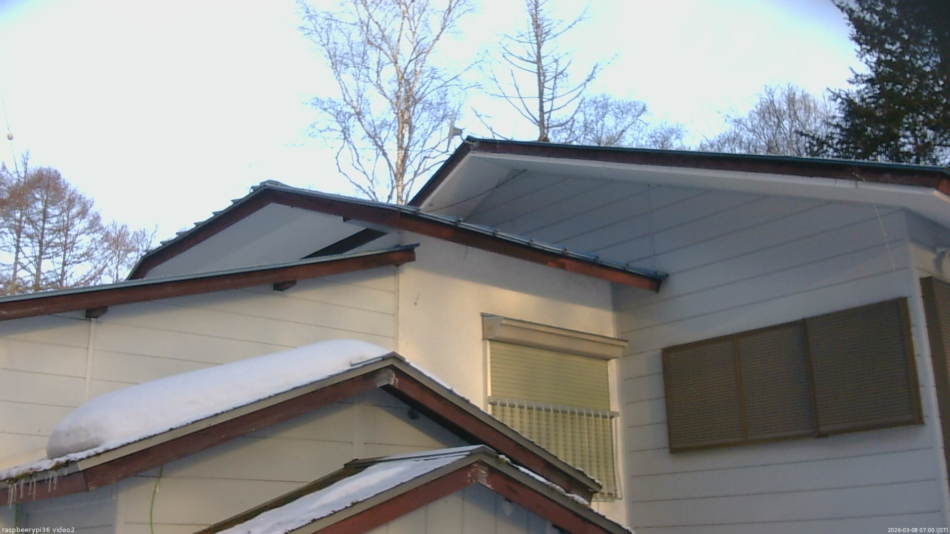 長野県菅平高原 ゆたか山荘 駐車場奥 2026/03/08 07:00