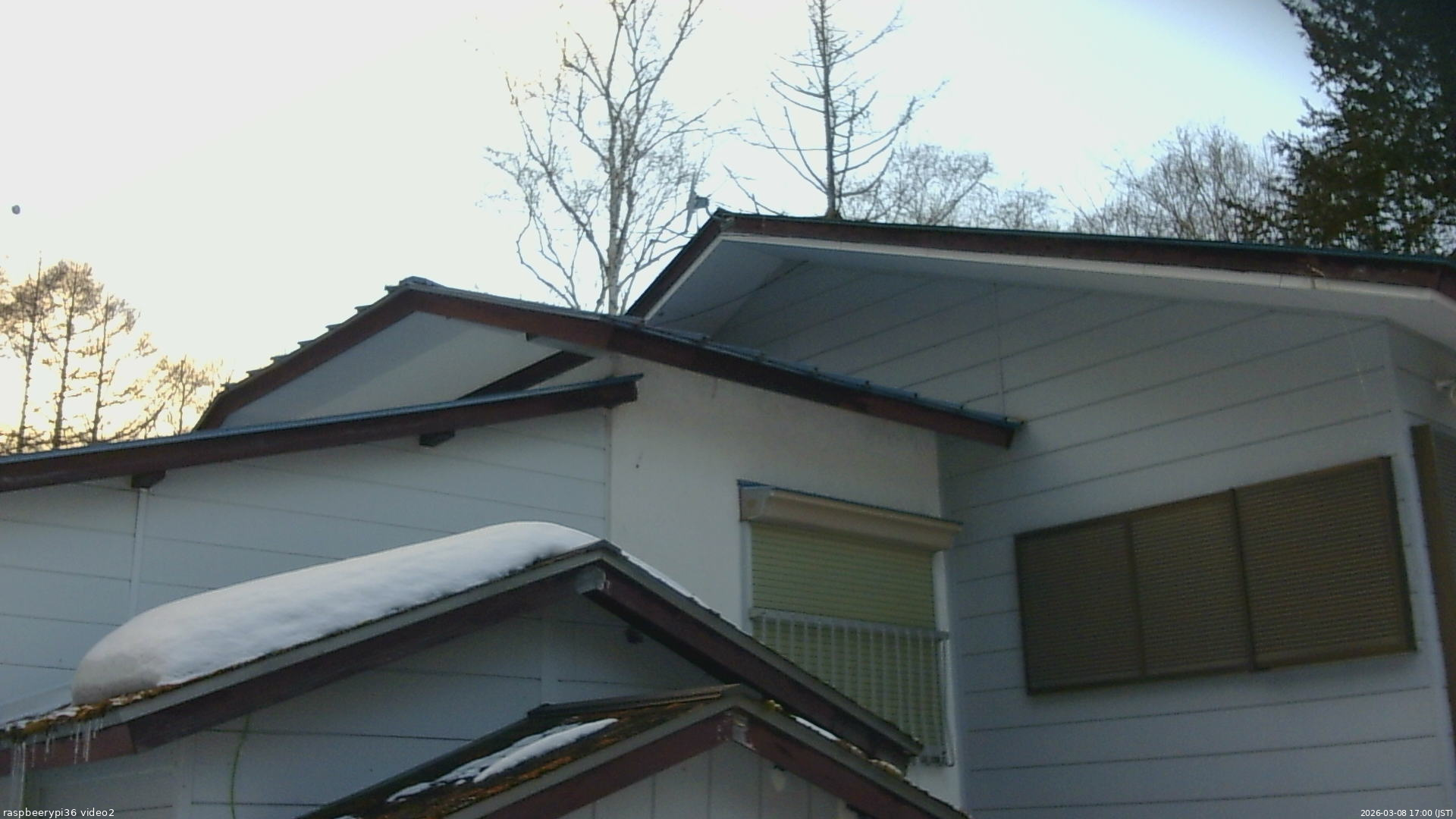 長野県菅平高原 ゆたか山荘 駐車場奥 2026/03/08 17:00