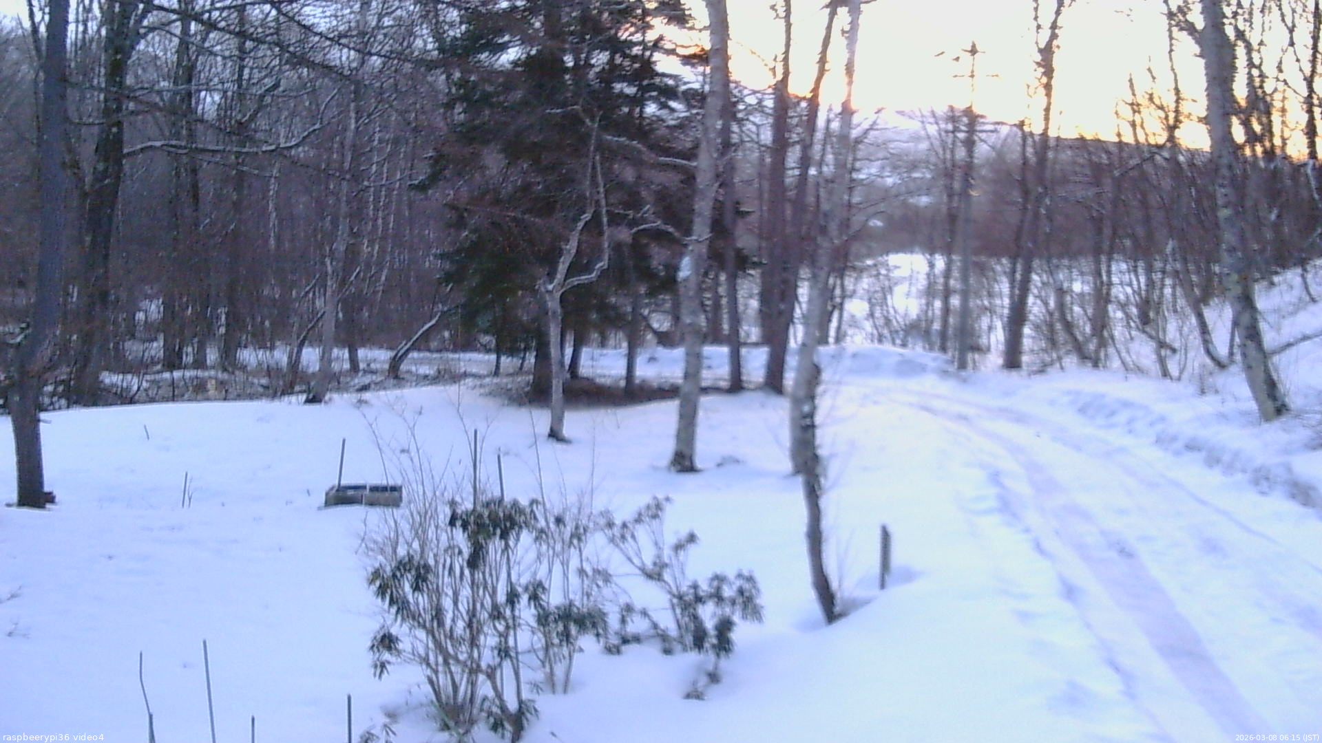 長野県菅平高原 ゆたか山荘 坂上 2026/03/08 06:15