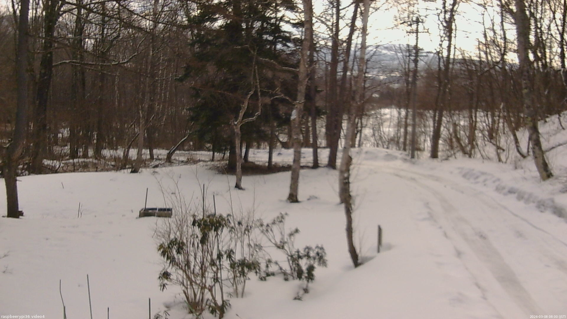長野県菅平高原 ゆたか山荘 坂上 2026/03/08 08:00