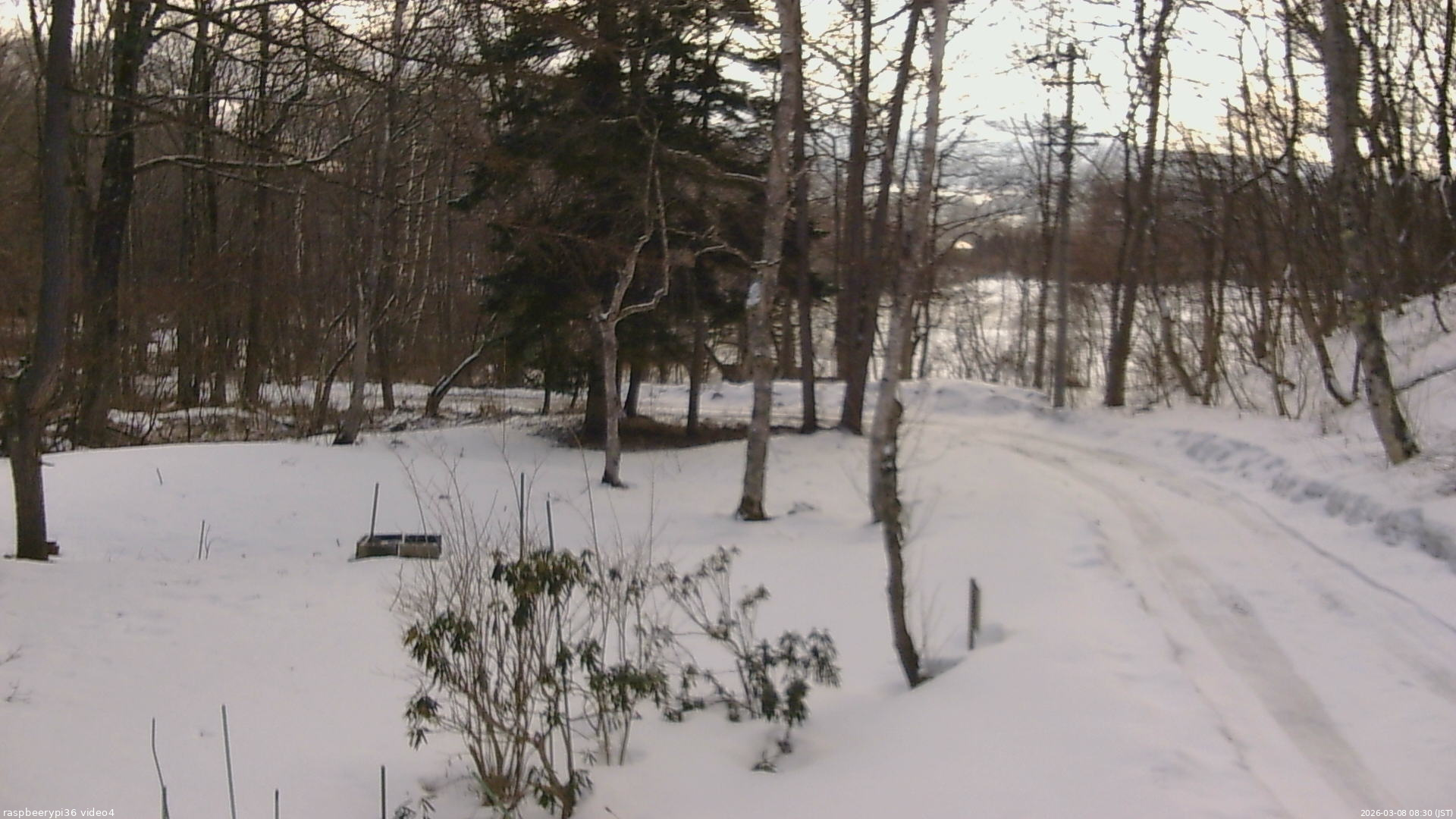 長野県菅平高原 ゆたか山荘 坂上 2026/03/08 08:30