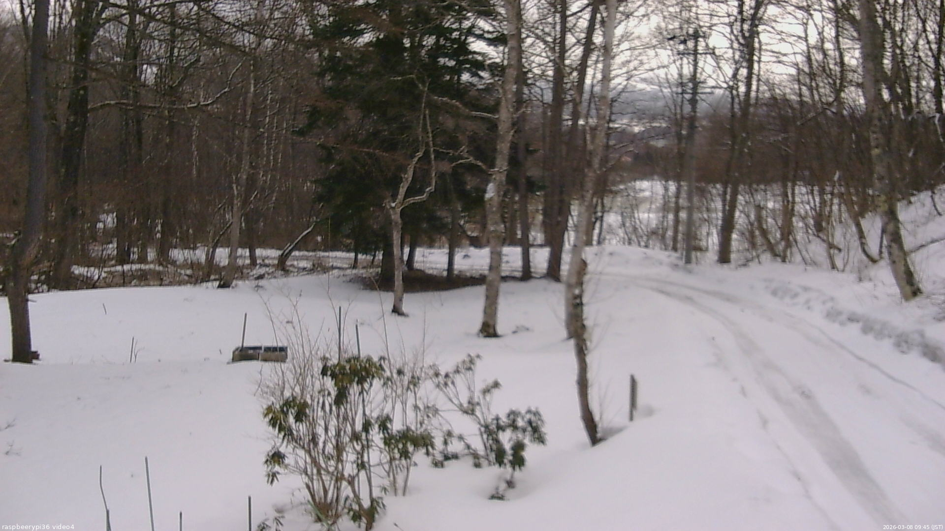 長野県菅平高原 ゆたか山荘 坂上 2026/03/08 09:45