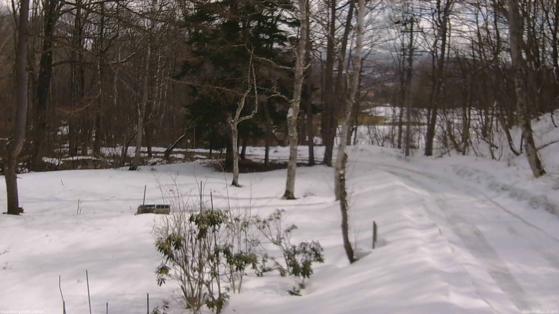 長野県菅平高原 ゆたか山荘 坂上 2026/03/08 11:15