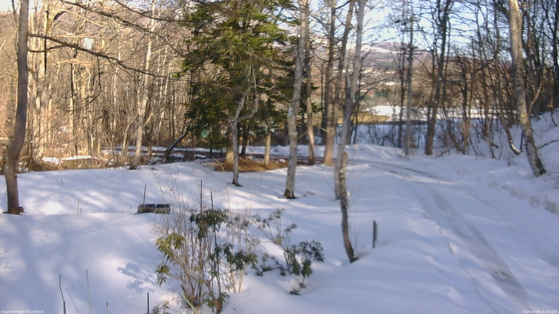 長野県菅平高原 ゆたか山荘 坂上 2026/03/08 15:30