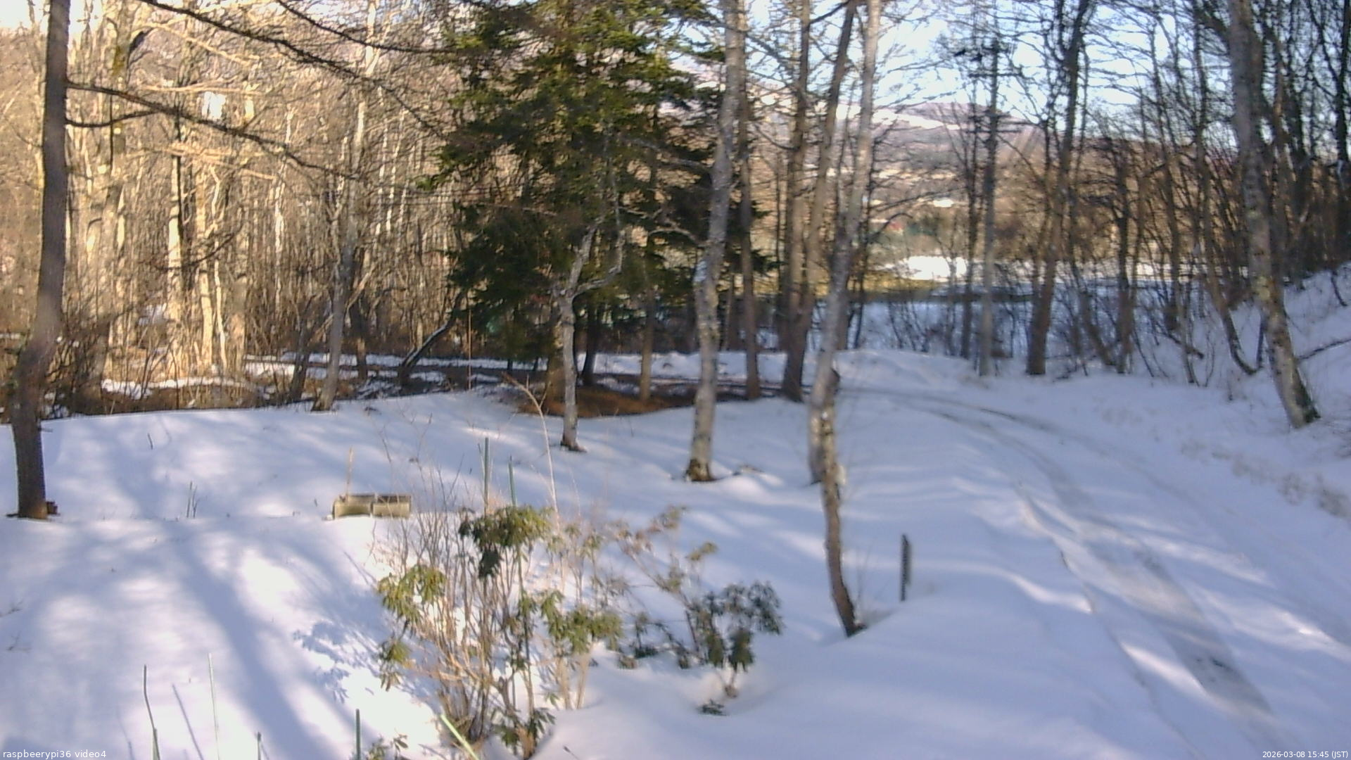 長野県菅平高原 ゆたか山荘 坂上 2026/03/08 15:45