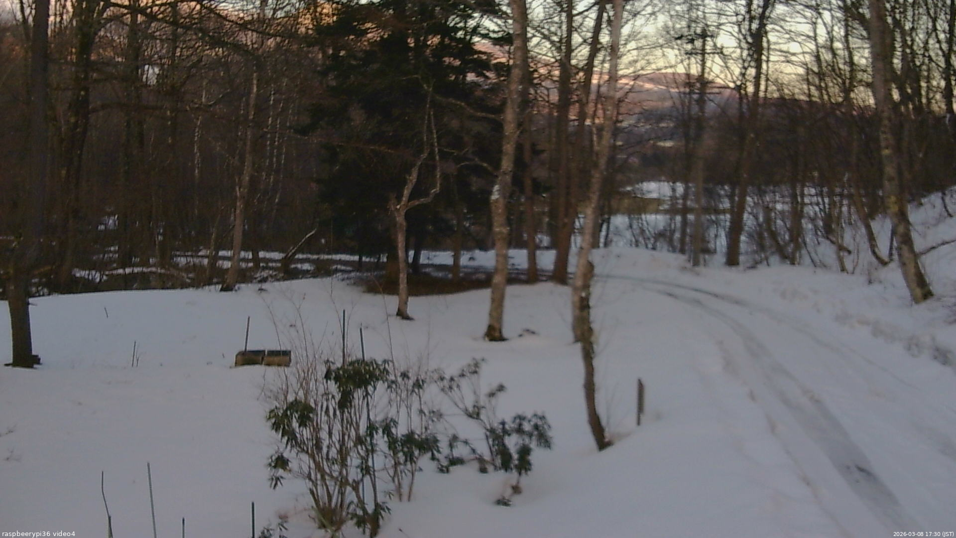 長野県菅平高原 ゆたか山荘 坂上 2026/03/08 17:30