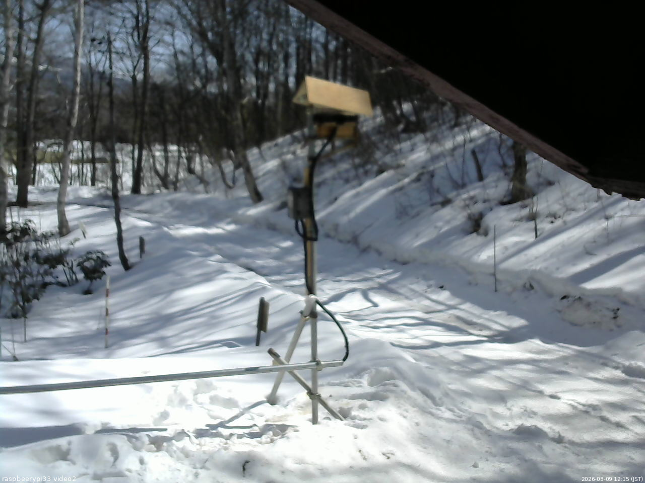 長野県菅平高原 ゆたか山荘 南側 2026/03/09 12:15