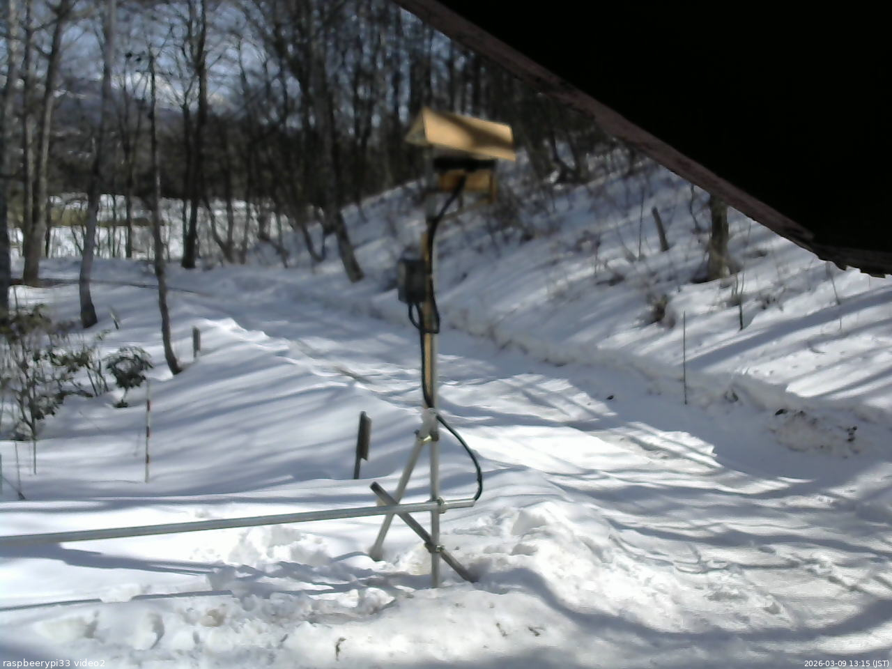 長野県菅平高原 ゆたか山荘 南側 2026/03/09 13:15