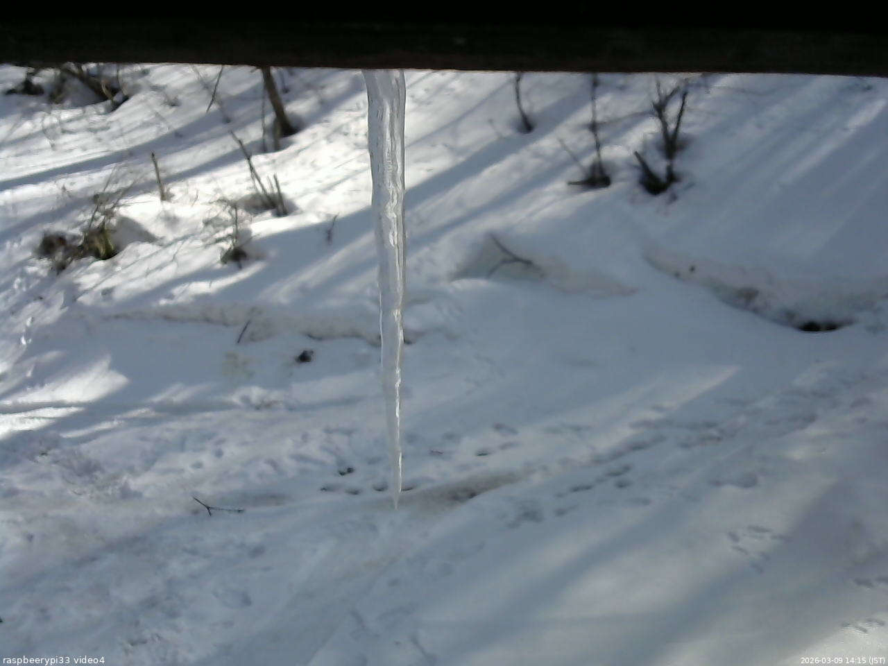 長野県菅平高原 ゆたか山荘 東側(坂下) 2026/03/09 14:15