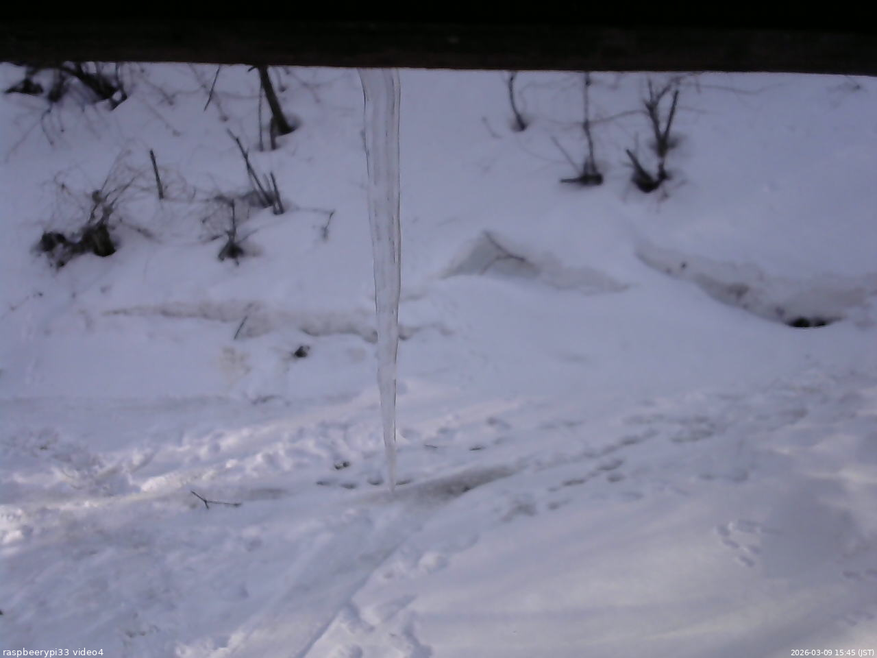 長野県菅平高原 ゆたか山荘 東側(坂下) 2026/03/09 15:45
