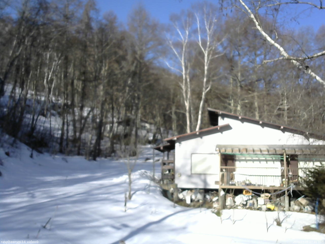 長野県菅平高原 ゆたか山荘 西側(坂上) 2026/03/09 07:45