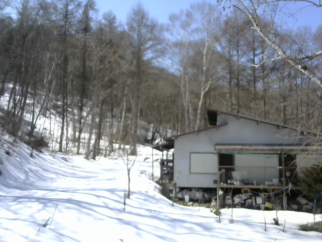 長野県菅平高原 ゆたか山荘 西側(坂上) 2026/03/09 12:30