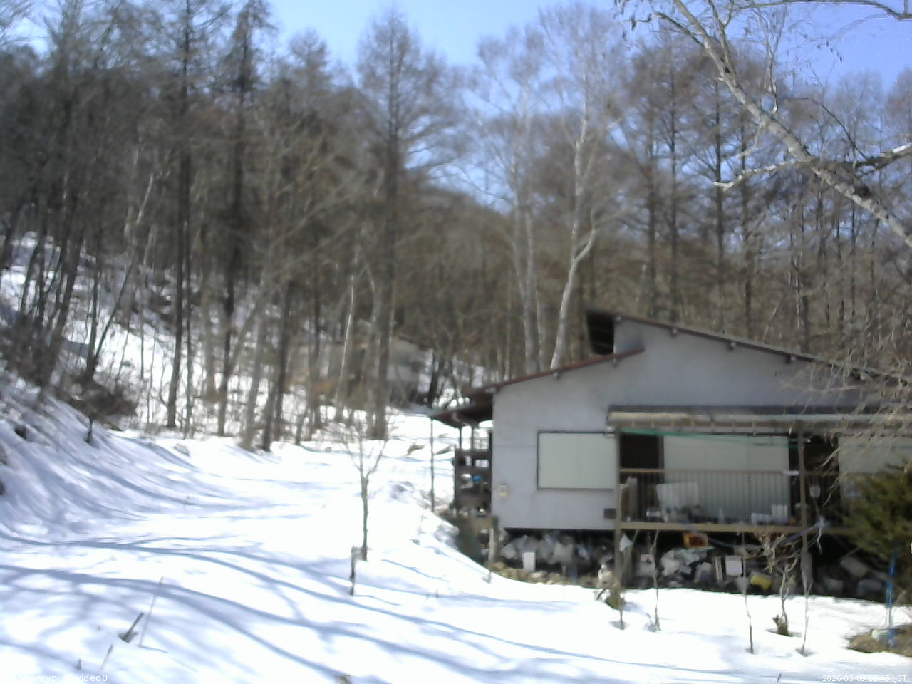 長野県菅平高原 ゆたか山荘 西側(坂上) 2026/03/09 12:45