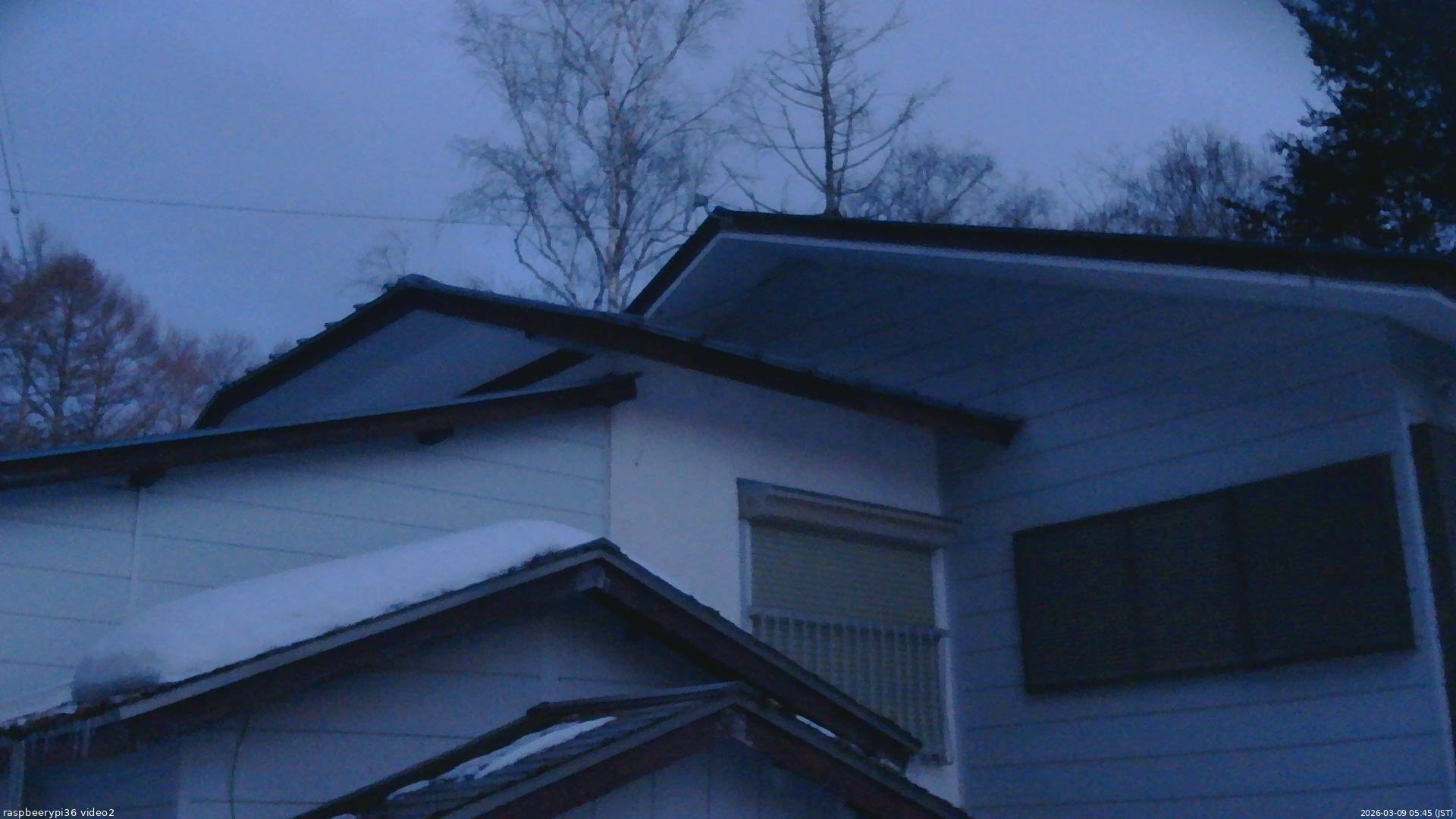 長野県菅平高原 ゆたか山荘 駐車場奥 2026/03/09 05:45
