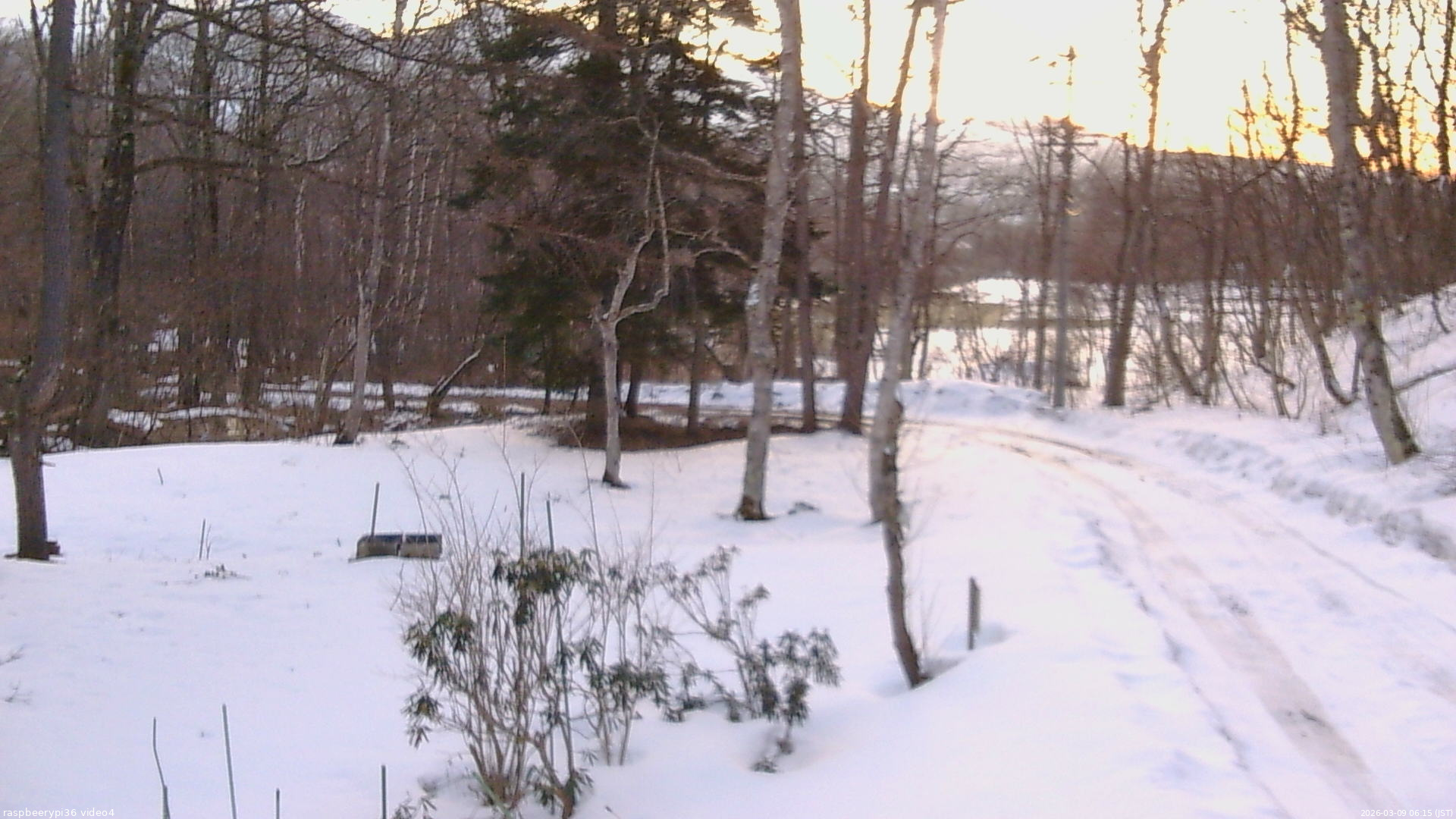 長野県菅平高原 ゆたか山荘 坂上 2026/03/09 06:15