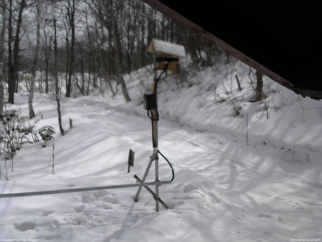 長野県菅平高原 ゆたか山荘 南側 2026/03/10 10:15