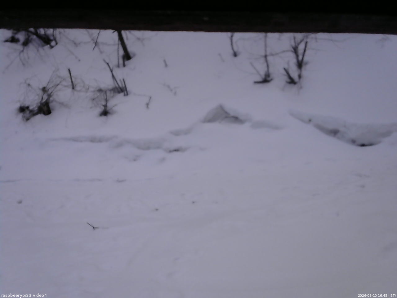 長野県菅平高原 ゆたか山荘 東側(坂下) 2026/03/10 16:45