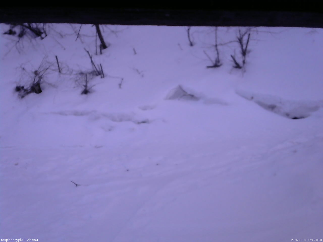 長野県菅平高原 ゆたか山荘 東側(坂下) 2026/03/10 17:45